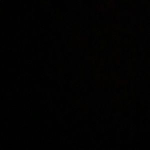 Meet your Posher, Michaela